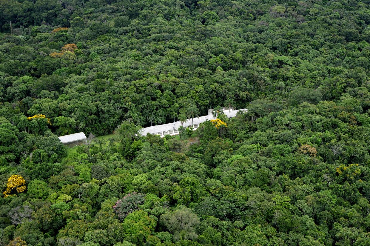 Visitas monitoradas na Serra do Japi: uma experiência única dentro da área de reserva biológica