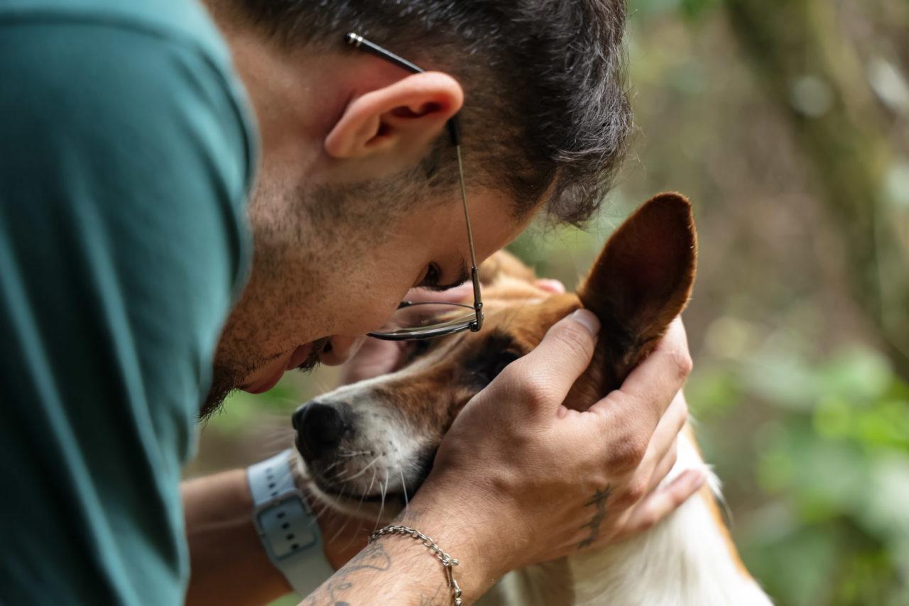 Adoção responsável transforma vidas no Departamento de Bem-Estar Animal de Jundiaí