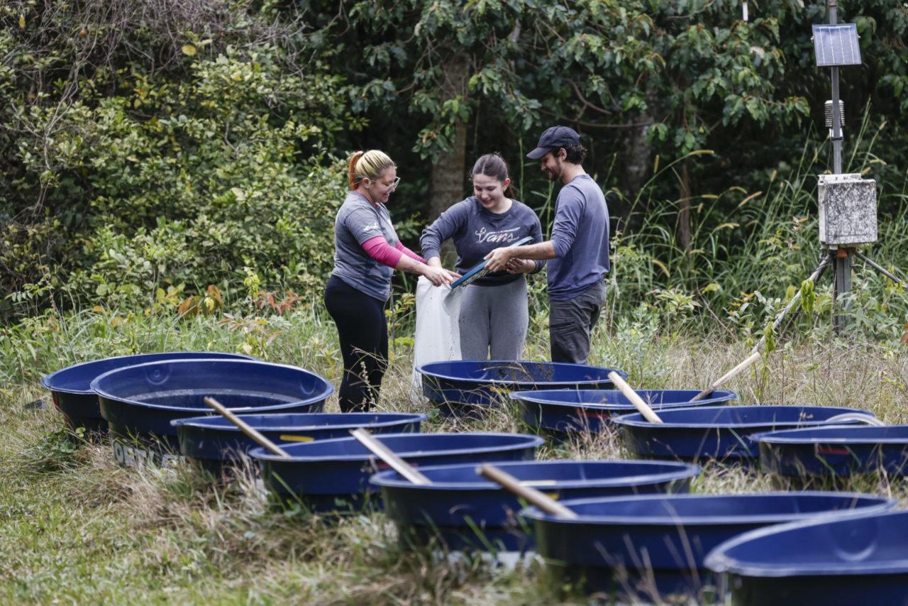 Base Ecológica da Serra do Japi é referência para pesquisas científicas sobre meio ambiente