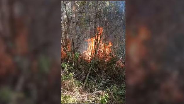 Incêndio atinge área de proteção ambiental e devasta o equivalente a 21 campos de futebol em Jundiaí