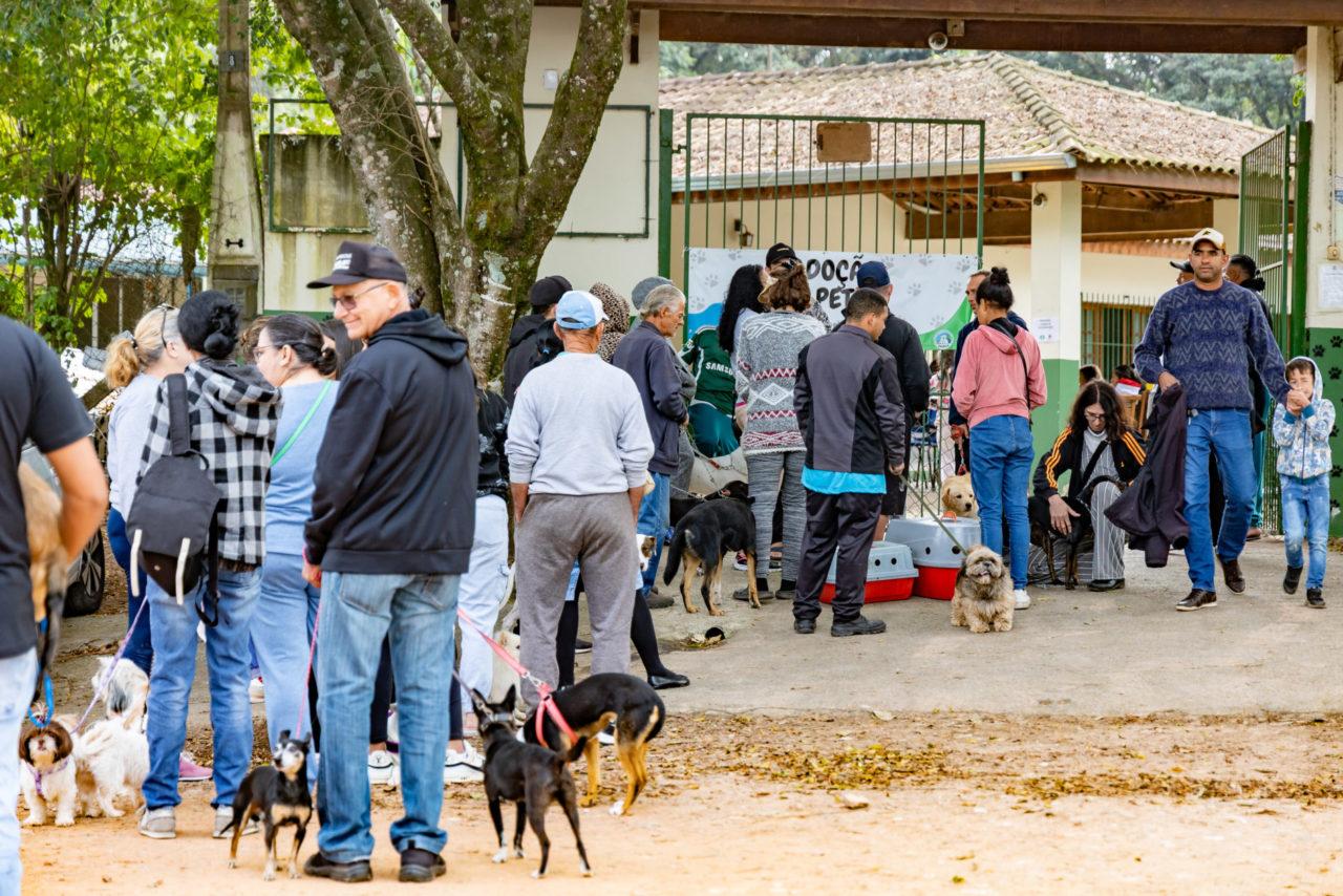 Mutirão de castração e microchipagem no DEBEA atende 132 animais