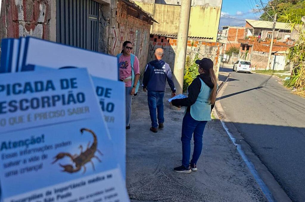 Agosto mês de reprodução dos escorpiões, saiba como se proteger!